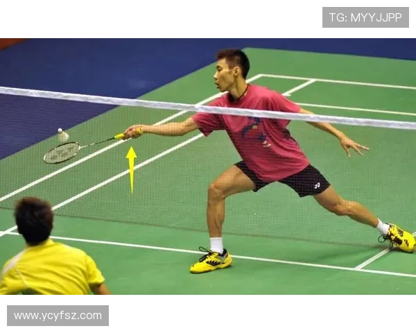 武汉羽毛球队的训练秘密与战术控制深度解析 武汉羽毛球队的训练秘密与战术控制深度解析