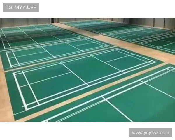 成都羽毛球队的阵地战体系与羽毛球战术的深度解析与应用探讨