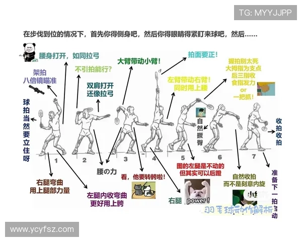 深圳羽毛球队的反击之路：深度解析与战术创新的背后故事